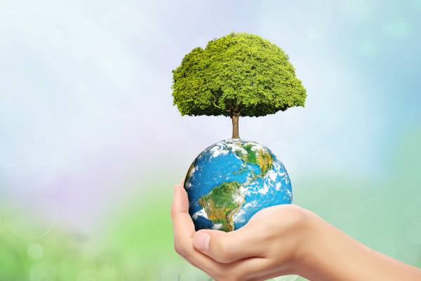 【水蜜桃视频在线观看生物】垃圾處理器，還你一個綠色的地球