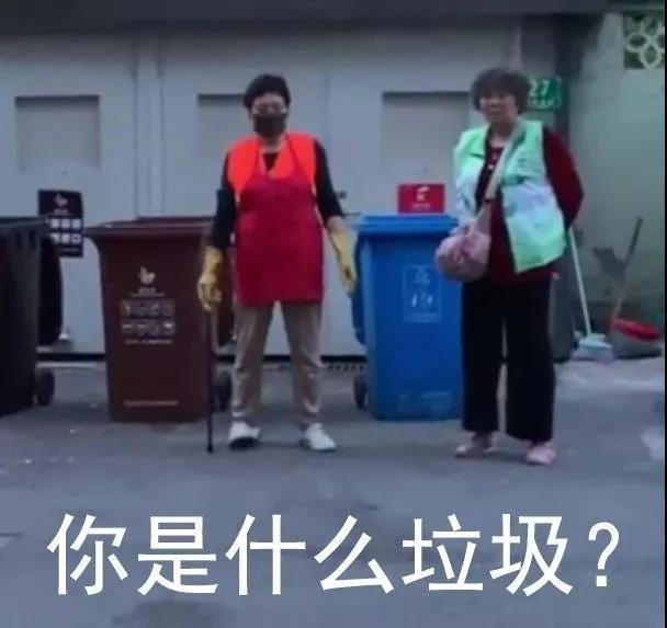 最近大火的“垃圾處理器”，你知道它是什麽東西嗎？