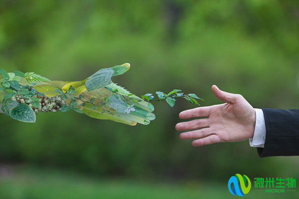 水蜜桃视频在线观看生物：推廣水蜜桃成人AV在线垃圾分布式處理，應對垃圾快速增長威脅