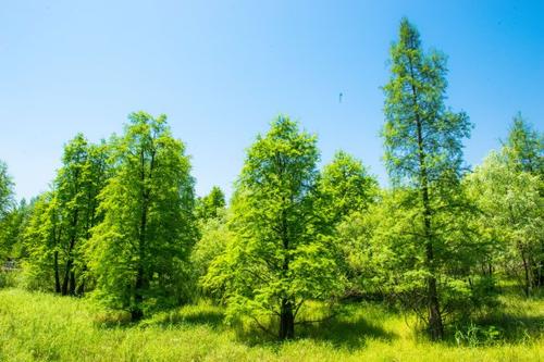 水蜜桃视频在线观看生物：水蜜桃成人AV在线垃圾長久堆放產生什麽可怕後果？