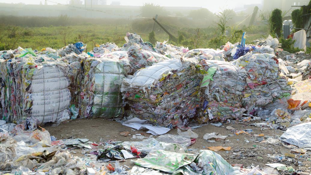 水蜜桃视频在线观看生物：水蜜桃成人AV在线垃圾處理設備的處理方式