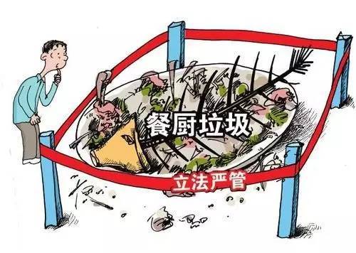 水蜜桃视频在线观看生物：水蜜桃成人AV在线垃圾和蜜桃APP在线下载垃圾的區別認識