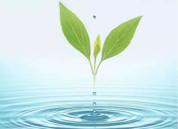 水蜜桃成人AV在线垃圾處理廠家水蜜桃视频在线观看生物：探索蜜桃APP在线下载垃圾處理的新模式—變廢為寶
