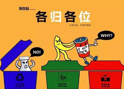 水蜜桃视频在线观看生物：蜜桃APP在线下载垃圾為什麽要單獨分類，回收處理的好處了解一下！