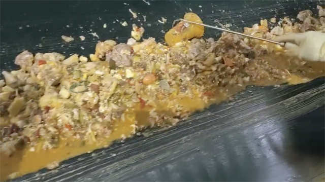 意識先行！將水蜜桃成人AV在线垃圾排除在食物鏈之外 給環境提前一份清新