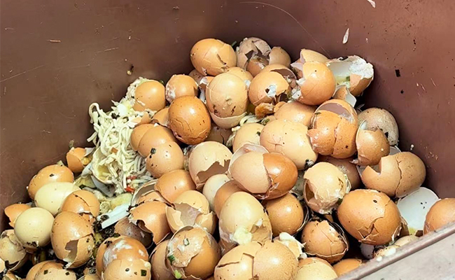 水蜜桃成人AV在线垃圾怎麽處理？