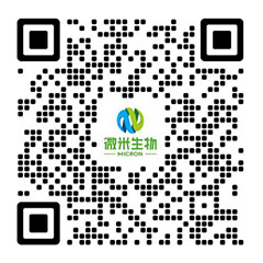 水蜜桃视频在线观看生物-水蜜桃成人AV在线/蜜桃APP在线下载/亚洲AV蜜桃无码精品无码廠家-項目投資運營商